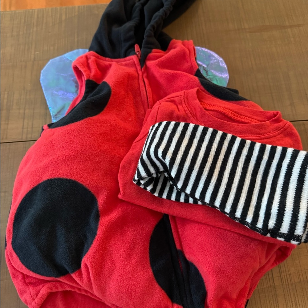 Carter's Red and Black Ladybug Outfit Set